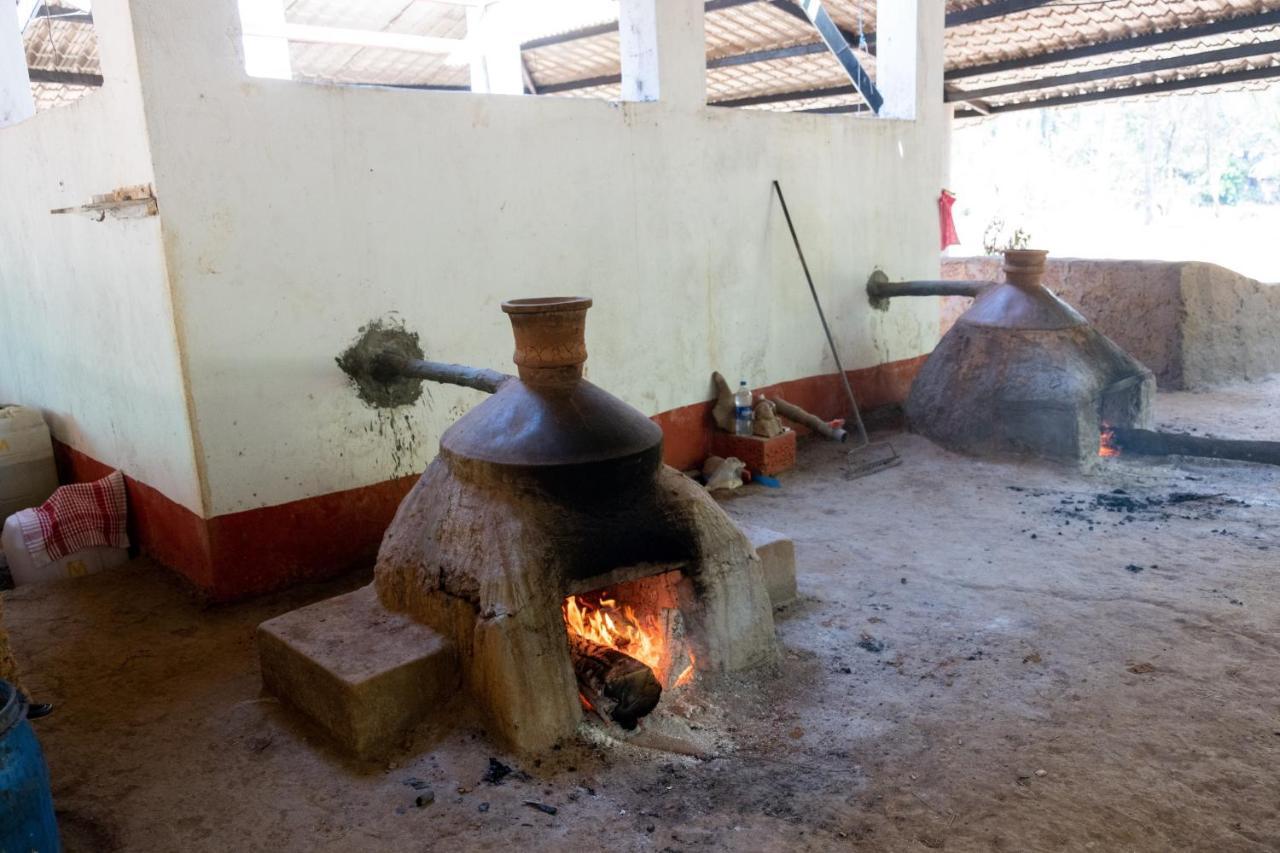 Mangaal Farmstay Goa Vichondrem Buitenkant foto
