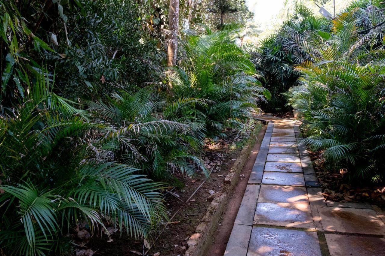 Mangaal Farmstay Goa Vichondrem Buitenkant foto