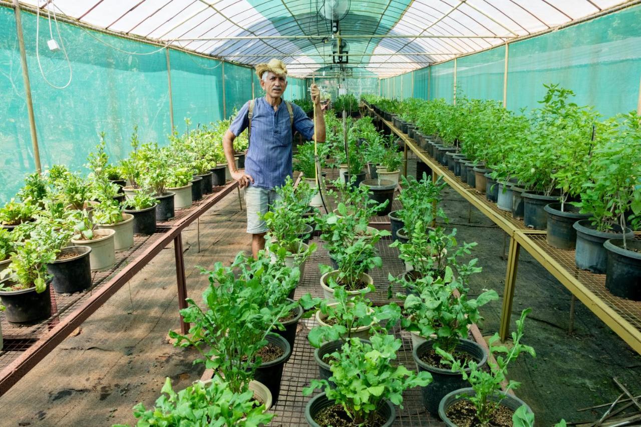 Mangaal Farmstay Goa Vichondrem Buitenkant foto