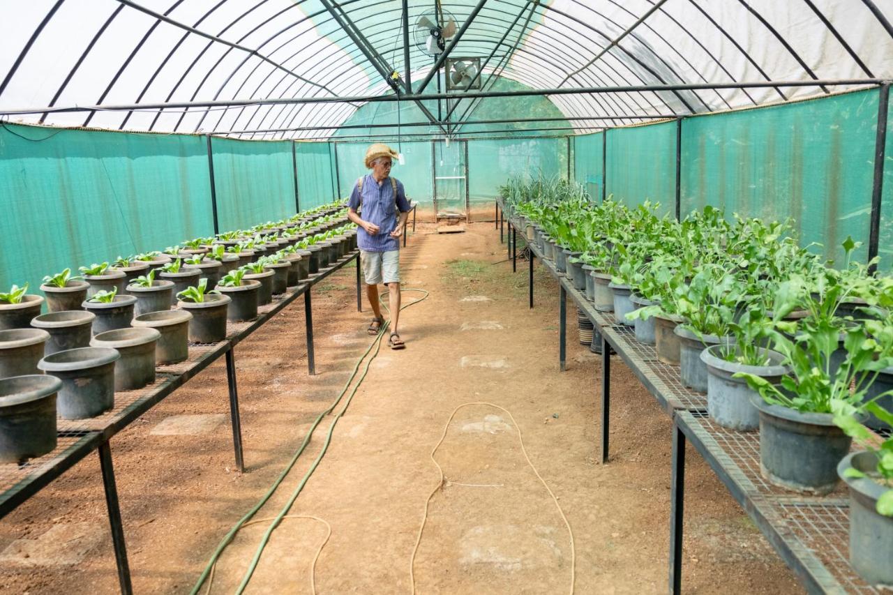 Mangaal Farmstay Goa Vichondrem Buitenkant foto