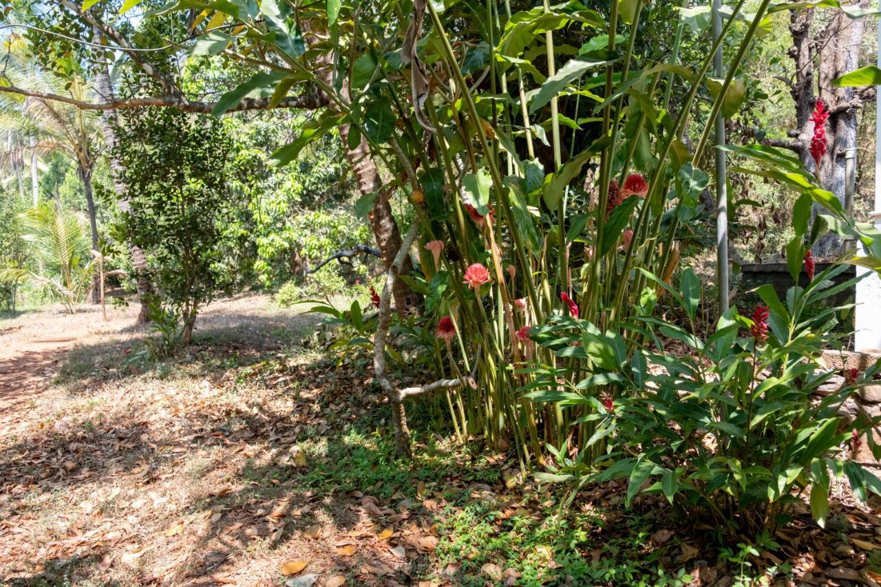 Mangaal Farmstay Goa Vichondrem Buitenkant foto