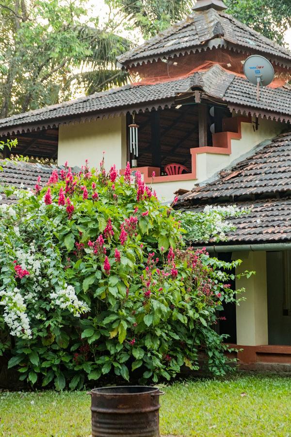 Mangaal Farmstay Goa Vichondrem Buitenkant foto