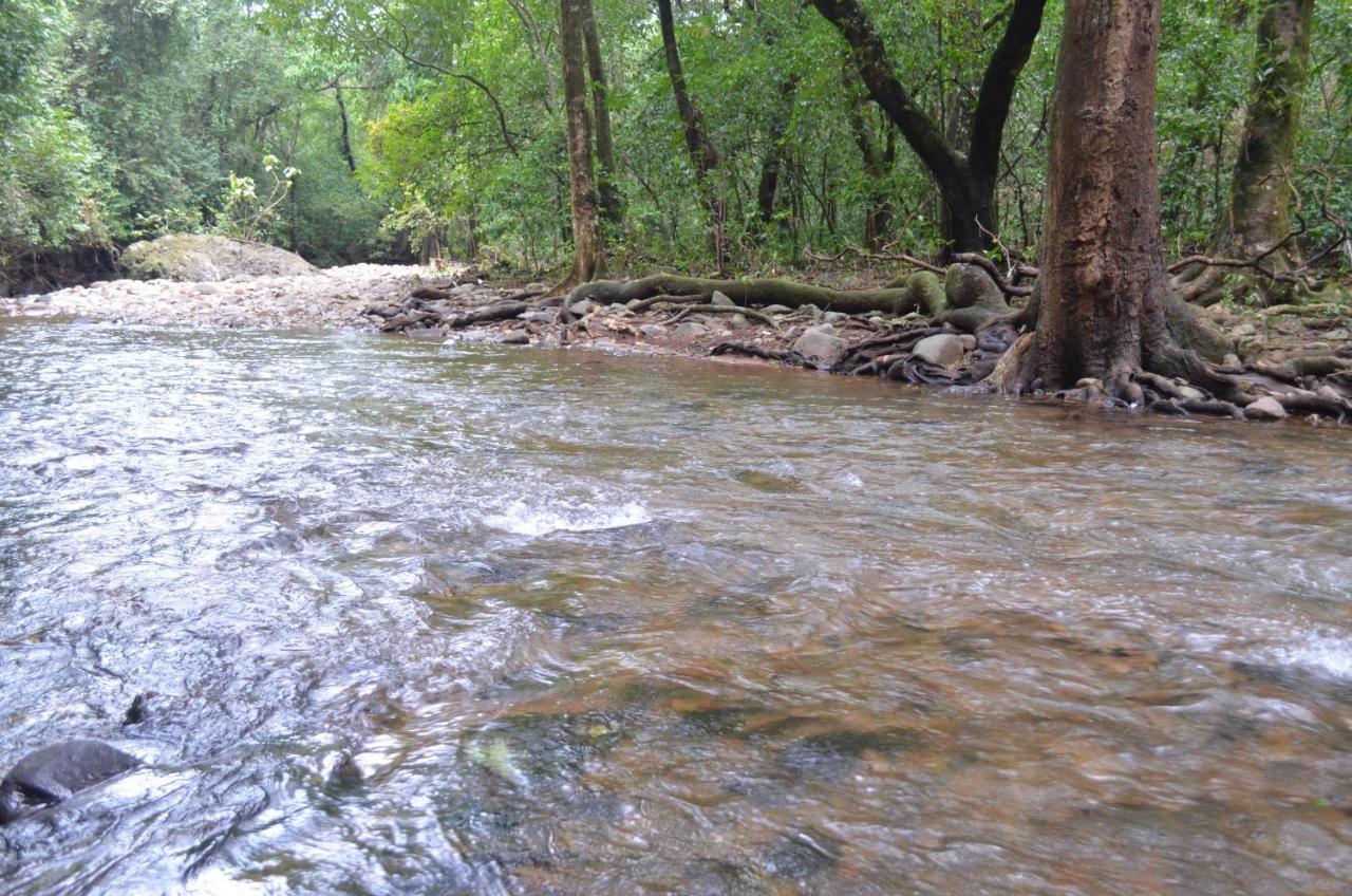 Mangaal Farmstay Goa Vichondrem Buitenkant foto