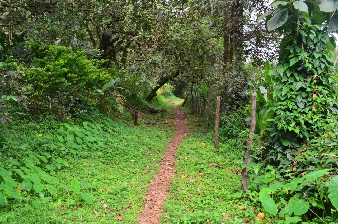 Mangaal Farmstay Goa Vichondrem Buitenkant foto